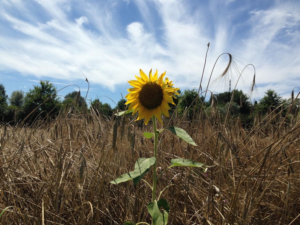 발렌자 Agriturismo Cascina Nuova 빌라 외부 사진