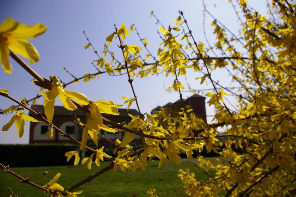 발렌자 Agriturismo Cascina Nuova 빌라 외부 사진