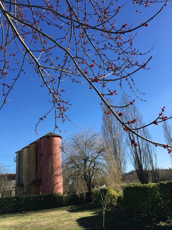 발렌자 Agriturismo Cascina Nuova 빌라 외부 사진