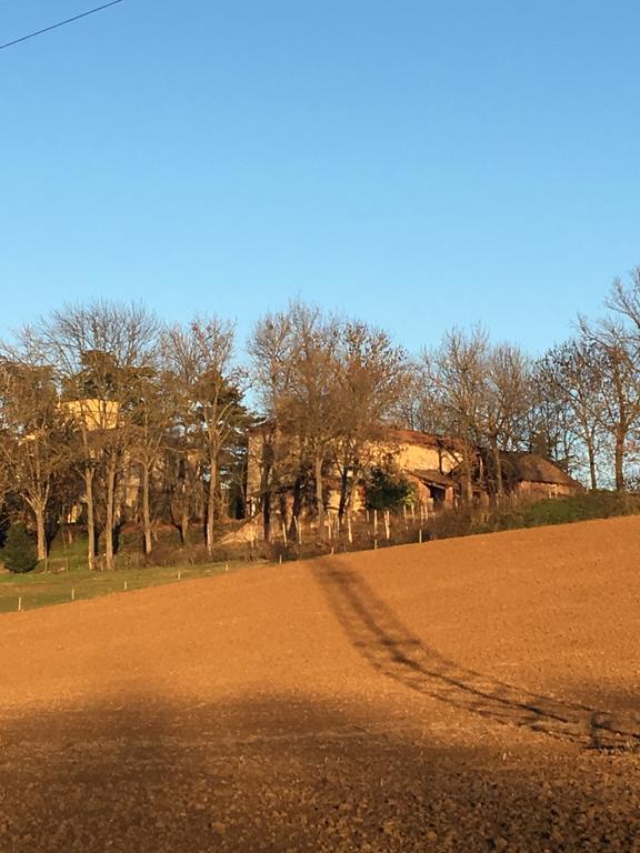 발렌자 Agriturismo Cascina Nuova 빌라 외부 사진
